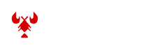虾米生活